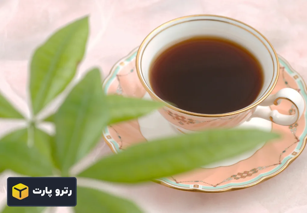 نوع های مختلف چای ساز ها